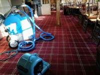 Vulcan Hygiene Ltd - Carpet & Oven Cleaning image 9